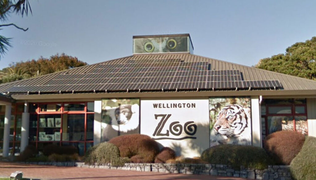 Zoo